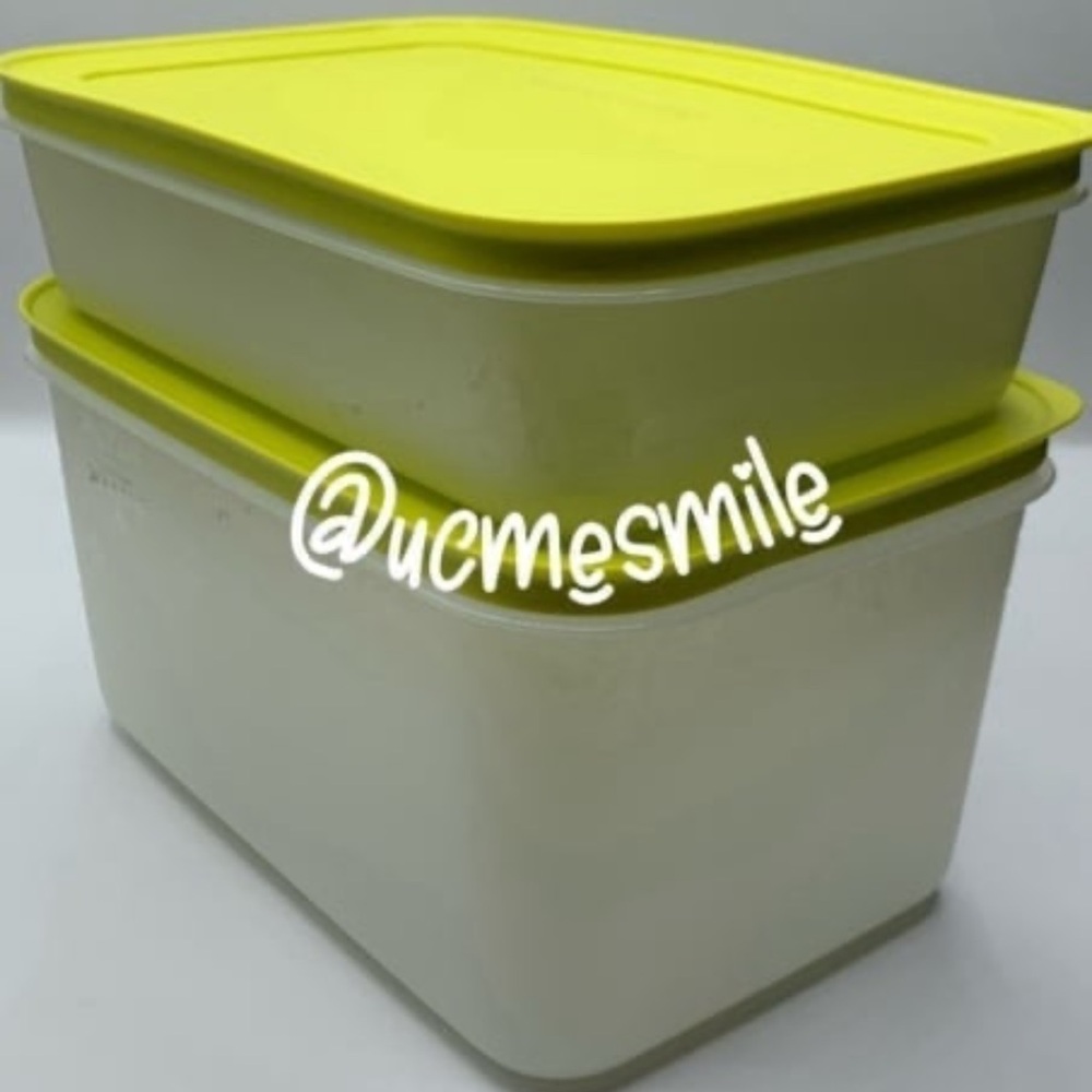 Tupperware Freezer Mates Plus Snowflake Green top Container Set